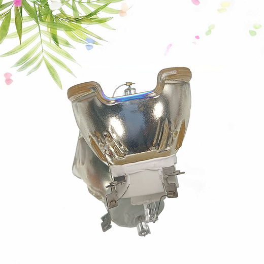 
Hepusen is suitable for VIEWSONIC Youpai RLC-103/PRO8800WUL/PRO8520W/VS17082/PJB8530WL/VS17078 Projector Light Bulb Original Light Bulb (please note the model if you place an order) VS17081