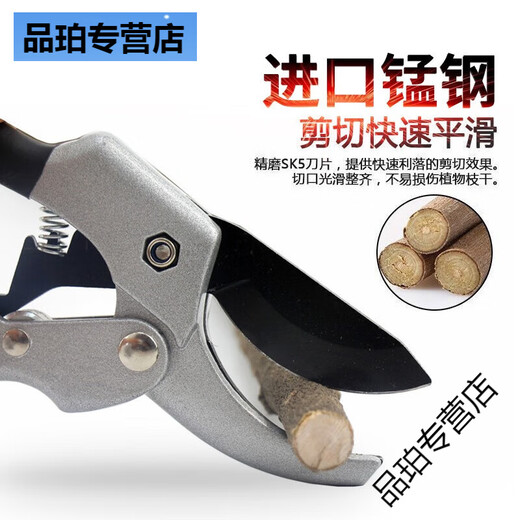 ZY Neue chinesische medizinische Schere Schere medizinische amerikanische Ginseng-Schere Obstbaumschere medizinische Schere Baum SK-5