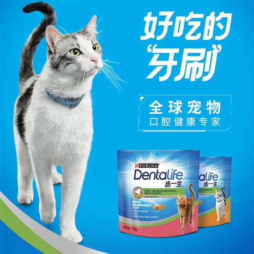 Naughty Cat Snacks Teeth Cleaning Biscuits for Life Teeth Molaring Snacks Chicken Salmon Adult Cats and Kittens Teeth Cleaning Cat Snacks 170g Chicken Flavor