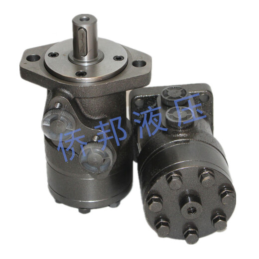 Rotary BMR80/50/100/125/160/200/250/315/400 mold extraction motor BMR50 two holes