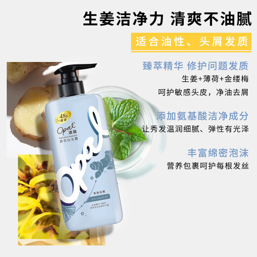 OBAO -Duft Shampoo Ingweröl Remover Shampoo 480G + Klassische Feuchtigkeitsfeuchtigkeits -Feuchtigkeits -Duschgel 680 ml