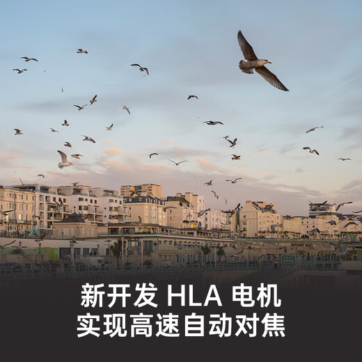 SIGMA Art 50mm F1.4 DG DN full-frame mirrorless large-aperture fixed-focus lens portrait live broadcast (Sony E-mount)