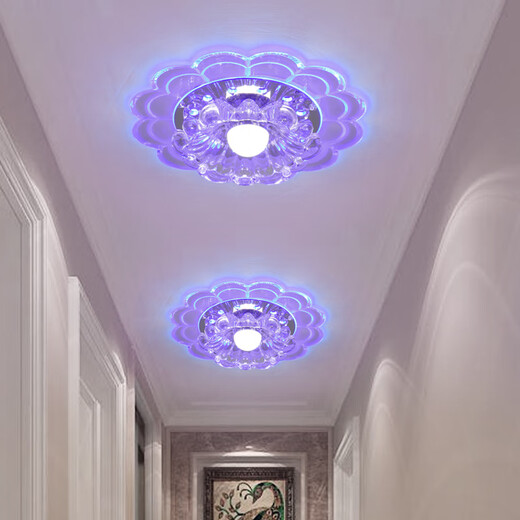 微伙客厅led射灯水晶过道灯走廊灯玄关灯嵌入式个性入户走道阳台筒灯 20CM-5W暖光【明装】