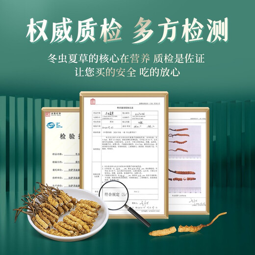 San Dikang Cordyceps sinensis, neue getrocknete Cordyceps nahrhafte Geschenke, Geschenke für Älteste, Ernährungsprodukte, 5 Stöcke/Gramm, 100 Gramm, 500 Sticks