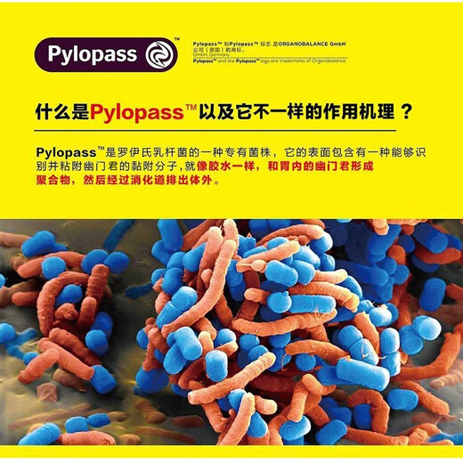 Youyansu probiotic powder Lactobacillus reuteri Adult gastrointestinal tract Pylopass probiotic 1 box + 1 tube of Youyansu toothpaste