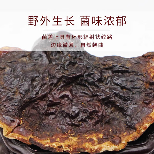 Юань клан Pure Wild Ganoderma lucidum, тибетские сухие товары, красный циркон Linzhi, срезы с золотым краем, 500 г чернокожих, 500 г туфли-желтого цвета в течение более 20 лет.