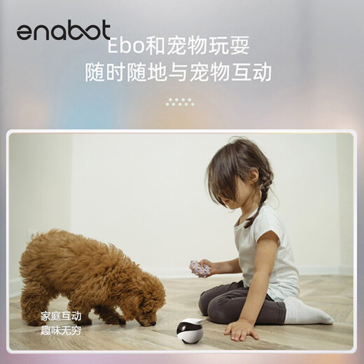 enabot ebo se移动监控摄像头家用宠物监控机器人智能猫咪陪伴wifi联网家庭巡航双向对讲异地恋电子男友 Ebo se版+128G存储卡（约12天回放录像）