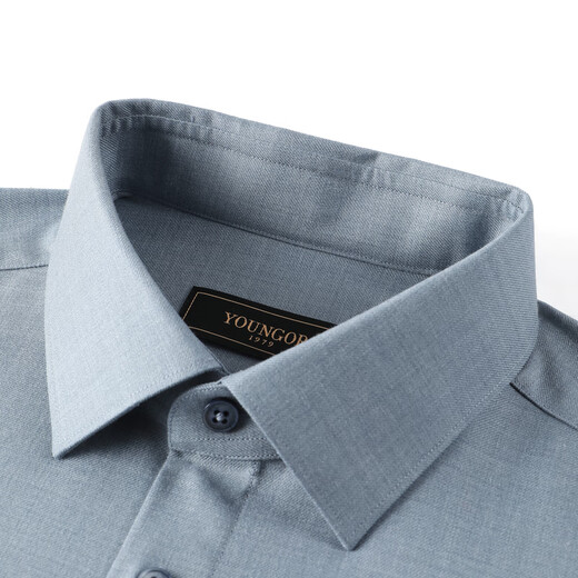Рубашка YOUNGOR мужская осенне-зимняя мужская рубашка с длинными рукавами из смесовой шерсти рубашка, которую можно стирать в машине, светло-синяя однотонная VLQW119709IBA 40 (175/92A)