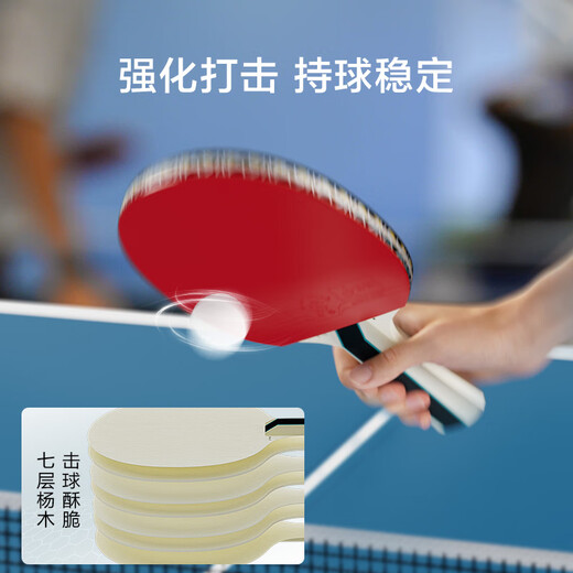 京东京造 雨燕一星乒乓球拍双拍2只装横直对拍训练套装双面反胶1星 横直板