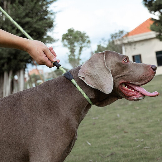 
TRUELOVE Dog Traction P-leash Small Medium Large Dog Golden Retriever Border Collar Husky Labrador Dog Chain TLL2575 Yuemeihong M Size