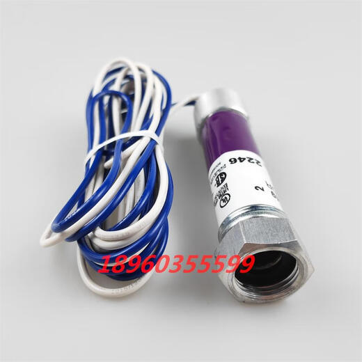 仁聚益C7027A1023 火焰探测器C7027A1049 C7035A1064火检电眼 C7027A1049原装