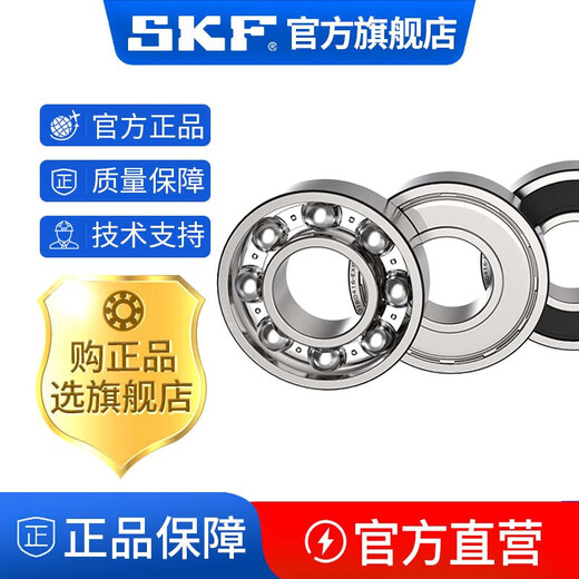 SKF Hochgeschwindigkeitslager 6207 6208 6209 6210 6211 6212 6213 2Z 2RS 6207-2 6213-2rs1 [Gummiversiegelung]