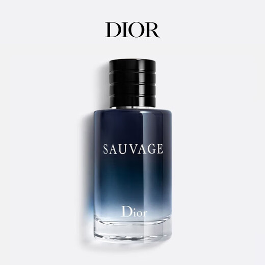 Dior DIOR Wilderness Men's Eau de Toilette 100ml Woody Fragrance Fragrance Gift Box Birthday Gift New Year's Gift for Men