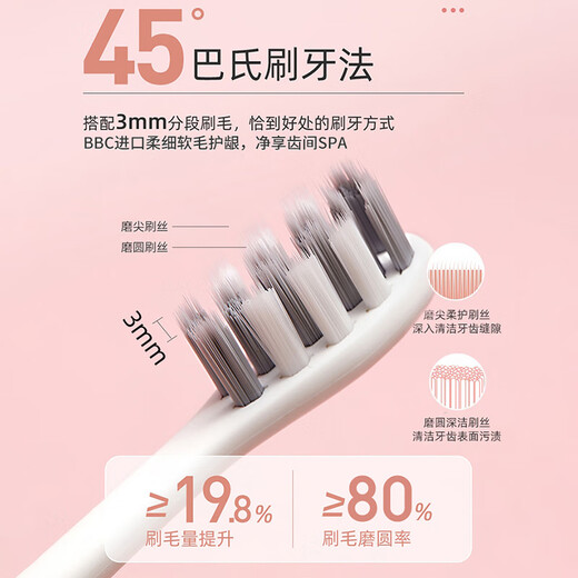 Brosse à dents électriques du couple SHUKE Couple Smart Area Changer la brosse à dents de l'étudiant adulte électrique pour envoyer un petit ami / petite amie 5 modes chinois Gift National Subvention National Subvention T2