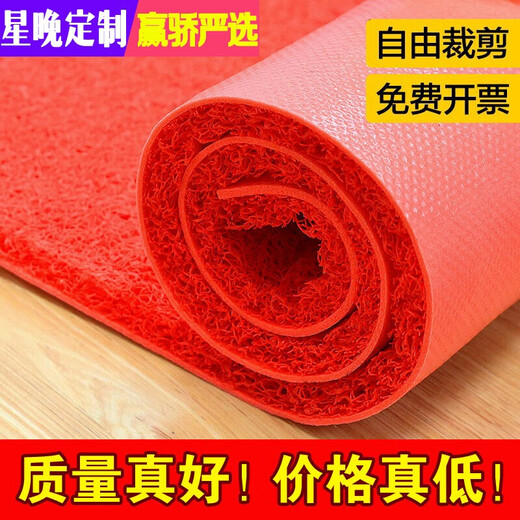 Star Night Thickened Silk Ring Floor Mat Anti-slip Silk Entry Door Mat Plastic Red Floor Mat Dust-proof Door Elevator Hotel Welcome Red 80*120cm (Thickened 15mm)
