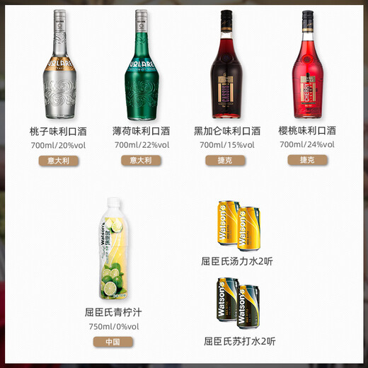 卢布斯基原装进口洋酒自调鸡尾酒套装六大基酒威士忌伏特加朗姆金酒龙舌兰 21瓶调酒套装（不含酒具款）