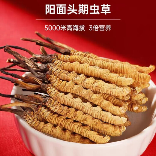 冬虫夏草（顺丰直发)藏区高海拔冬虫夏草礼盒送礼高端大气上档次 那曲虫草3根1克100装送5条自食