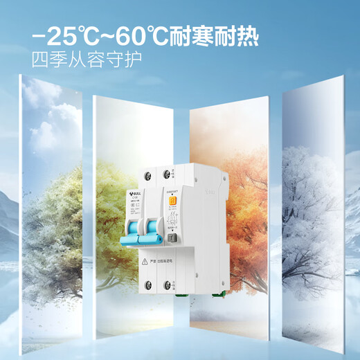 Bull (BULL) Jiahe LBE12 protecteur de fuite 2P protection contre les fuites disjoncteur ménage haute puissance 2P100A