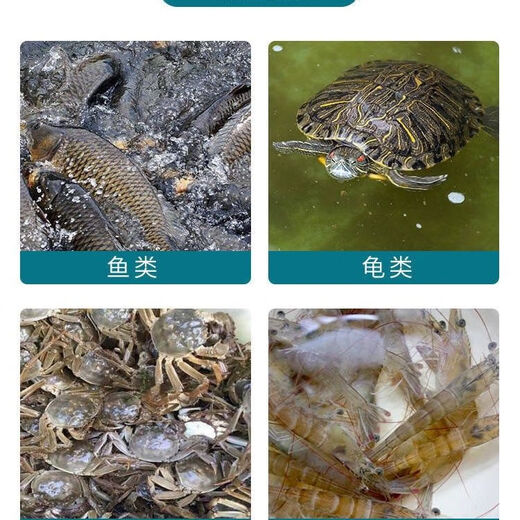 Outdoor flower basket fish cage fishing flower basket automatic fishing tool crucian carp, black carp, turtle cage, turtle cage, fishing net, lobster cage 50*100 two free 10 bait + 1 rope + 6 bait balls