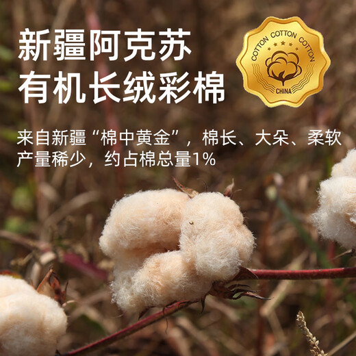 Su Cheng Baby Sleeping Bag Baby Spring and Autumn Constant Temperature Newborn Big Children Anti-Kick Quilt Magic Winter Anti-Freeze Universal Autumn and Winter Thin Cotton-Parent-Child Bear 10-20 XXL Code (Wear to Height 129cm) 5-8 Years Old