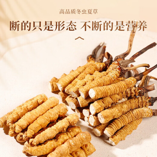 Authentique Tibétain à haute altitude Cordyceps Sinensis Broken Grass Whole Meat Festival 10g Grandes bouteilles pour les produits secs à la maison Nagqu, Tibet 10G [1g libre]