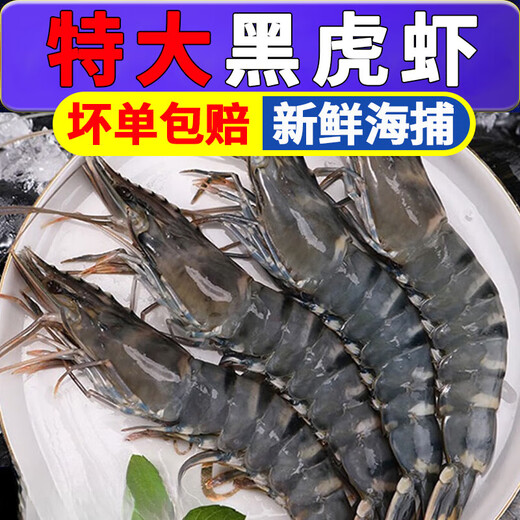 特大黑虎虾活冻大虾鲜活虾类新鲜速冻海鲜水产巨型老虎虾斑节竹九 3盒装 1350g(净重)  【10只/盒】20厘米左右