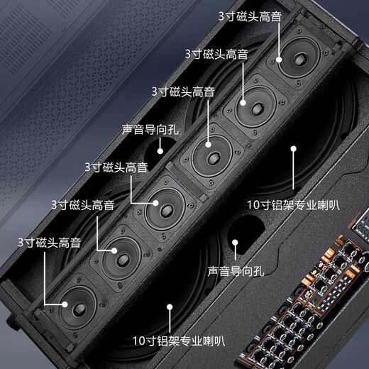 丹唛仕户外专业演出KTV一体机大屏幕电吉他萨克斯乐器重低音大功率直播大舞台内置蓝牙高端音响 H-9000重低音音响