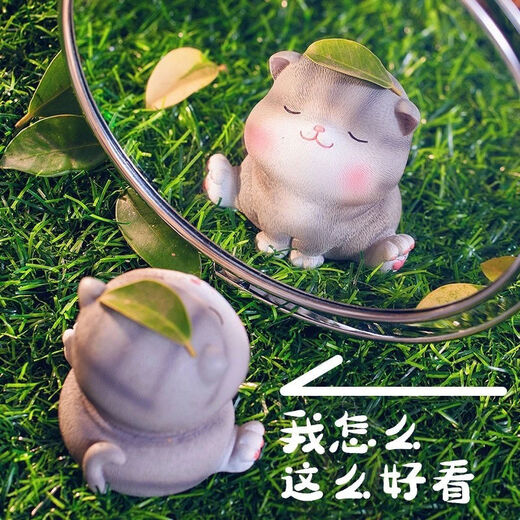【曲美思】生日礼物猫妮卡小摆件少女心萌宠装饰品学生闺蜜情侣汽车载小猫可爱公仔饰品 树脂款猫咪5款(原包装)