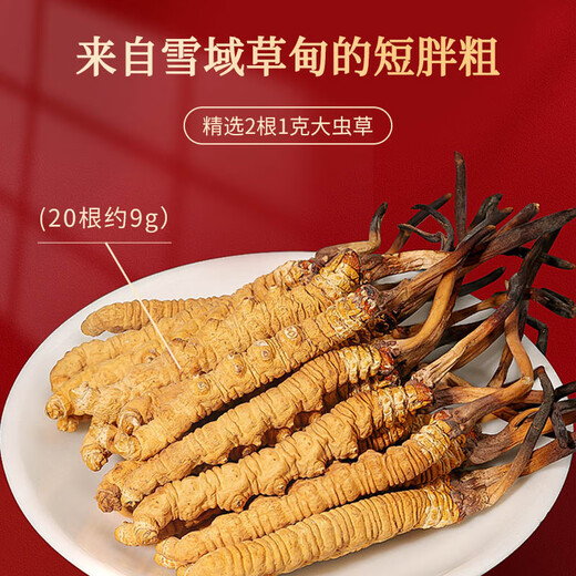 同仁堂健康 藏红花25克+虫草20根圆盘礼盒