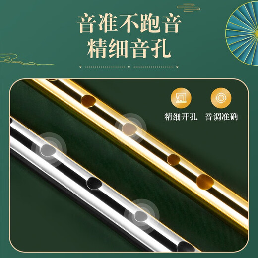DBAO Irish Whistle Flute Flute Beginners Professional Playing Treble Recorder Musical Instruments for Primary School Students [DBAO Alloy] Black C-Tun + Giveaway