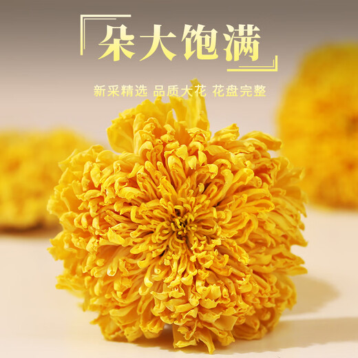 Mingyuan Huizhou Emperor chrysanthemum [buy 2 pieces = 3 cans in total about 500 flowers] Wuyuan Emperor chrysanthemum tea tribute chrysanthemum with wolfberry herbal tea [Newly picked golden hydrangea] [buy 2 get 1 can in total 500 flowers]