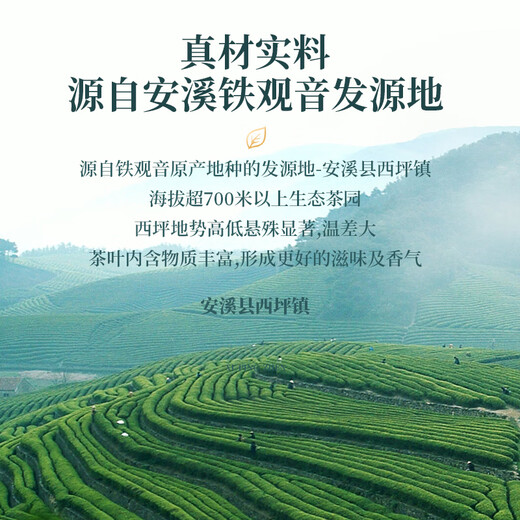 
Anxi Tieguanyin Oolong Tea Xianghua Production Area Fragrance Special 512g Light Fire Canned Tea 2025 Spring Tea Gift Relatives