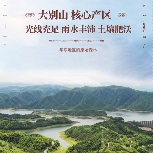 却老斋牌 有机破壁灵芝孢子粉 高三萜12g中老年营养保健品增强免疫力 孢子粉100g*6盒【300天量】