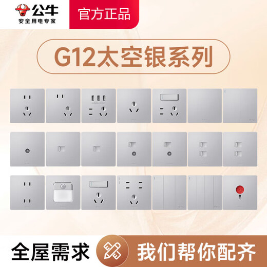 公牛（BULL）G12太空银开关插座面板全屋套餐86型家用墙壁空调usb暗装电源插座 斜五孔（10只装） 插座