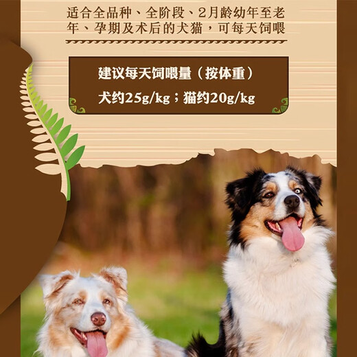 卡格kakato进口猫狗主食罐头宠物肉罐40g/70g/170g猫犬通用零食湿粮 【826】鸡肉+芝士170g 5罐