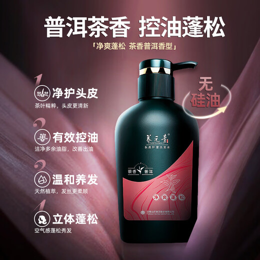 Yangyuanqing Shampoo Yunnan Baiyao Ginger Shampoo 500ml + Pu'er Tea Aroma Shampoo 500ml