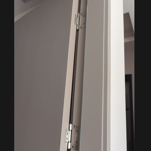 麒奔奔极地之光肤感烤漆