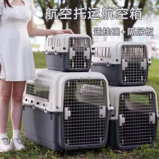 Initial concept of Air China pet portable flight box for dogs to go out on the plane checked box for cats and cat cages for small and medium-sized dogs air transport cage No. 3 box iron window - suitable for 25 Jin [Jin equals 0.5 kg] and under