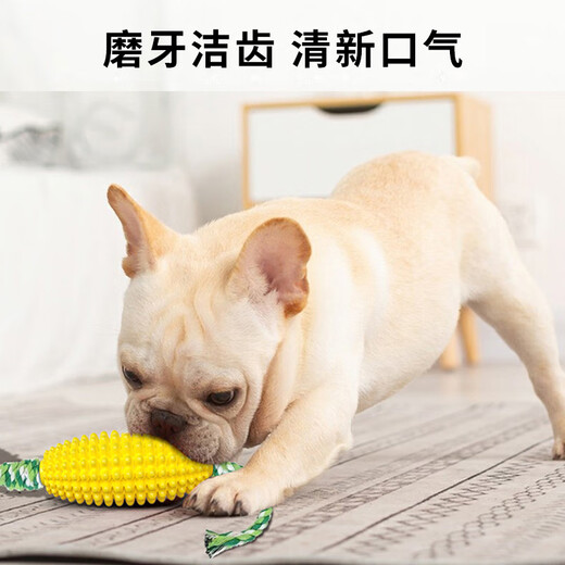 Cute star pet dog toy, teeth grinding corn cob, tooth cleaning, oral cleaning, pet supplies for large, medium and small dogs and puppies