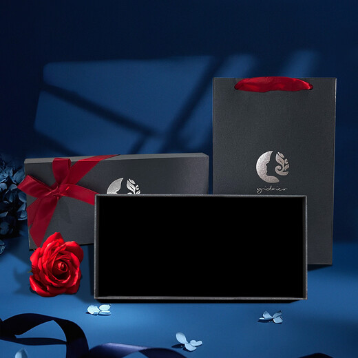 LANSILL ancient style hairpin plum blossom tassel step-shape hairpin practical Valentine's Day birthday gift for girlfriend and wife F1481 Aoxue Hanmei hairpin exquisite gift box