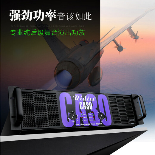 Ridiss professional power amplifier CA series dual-channel high-power professional audio stage sound performance engineering home KTV pure power amplifier CA6 650W*2