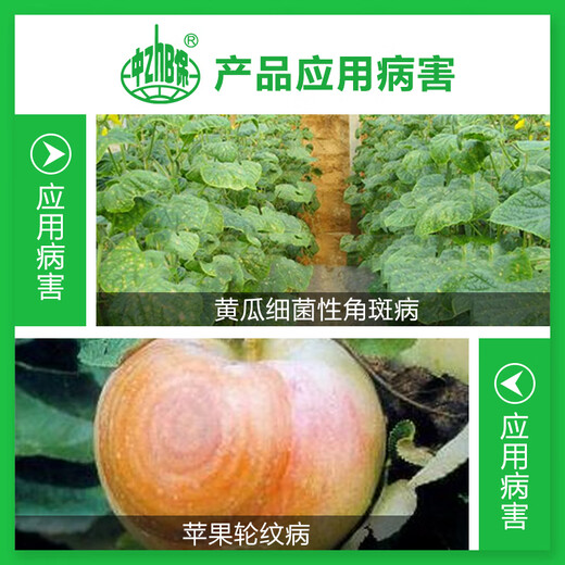 Zhongbao Zhongshengmycin Apple tree ring spot disease cucumber bacterial angular spot disease biopesticide fungicide 20g*1 bag