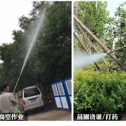 Gasoline powered hand push sprayer non-electric 2024 new high-pressure agricultural sprayer disinfection sprayer truck 300L 1 piece with 100m pipe