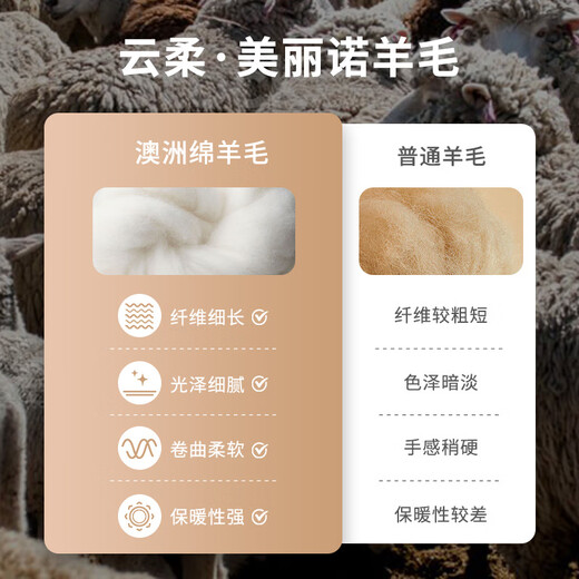 MONTAGUT Winter Men's 100% Pure Wool Cardigan Young and Middle-aged Knitted Sweater Jacket Thick Linen Brown 50