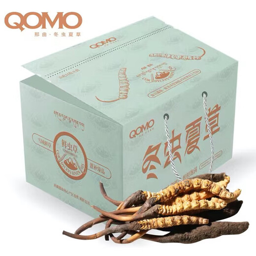 [2024 Naqu End of Wild Cordyceps] QOMO Naqu Origin Seasonal Fresh Cordyceps in Naqu, Tibet Wild Cordyceps Cold Chain Gift Box Dragon Boat Festival Gift Box Naqu Wild Cordyceps 0.8g/root 100 Roots Pack