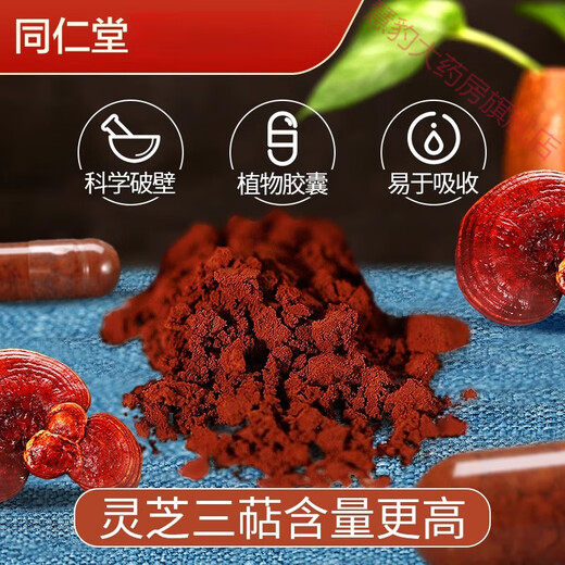 Tongrentang Ganoderma lucidum spore powder broken wall powder capsule robe powder
