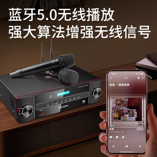 威斯汀家庭ktv音响套装KTV唱歌全套设备蓝牙功放机无线话筒麦克风家用客厅卡拉OK影院393功放双话筒版