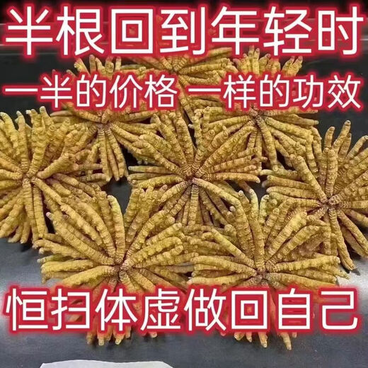Eryabe [Official Store Special][Zhengpin] Authentic Cordyceps sinensis (Specifications 2-3 roots/gram) Buy more and get more. Zhenpin Cordyceps sinensis About 4 roots/gram 1 root price [Book more and get more and get more]