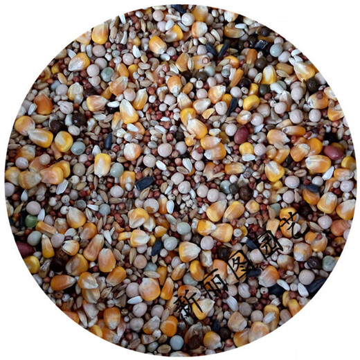 Is pigeon feed corn, sorghum, wheat, peas, pigeon food nutrition, pigeon food, bird food, pigeon food, letter for young pigeons, peas, 5 Jin, Jin is equal to 0.5 kg