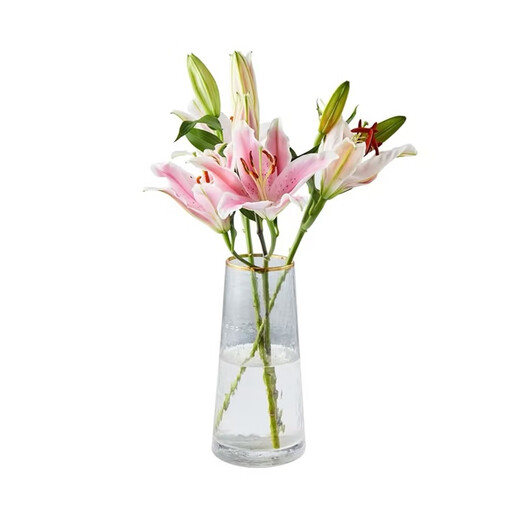 9 pink lilies (3-4 buds shipped)